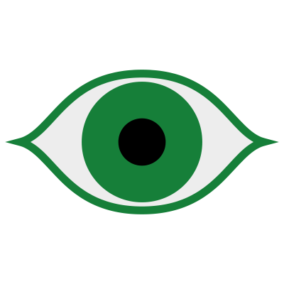 Vision Icon